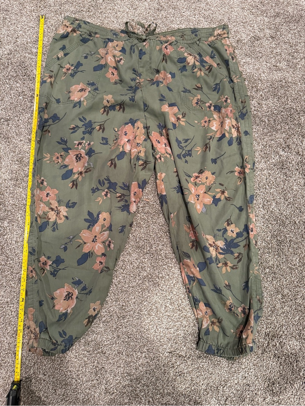 Anthropologie green joggers with floral print in 3X